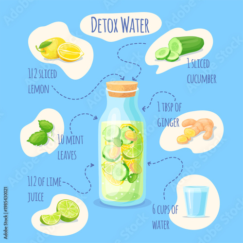 Detox water recipe. Cucumber mint cocktail, lemon lime fresh summer juice healthy drink citrus fruit smoothie diet nutrition vitamin ginger energy element, neat vector illustration