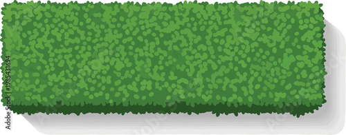 A rectangular hedge with a dense green foliage casting a subtle shadow on a white background, perfect for landscaping and garden design
