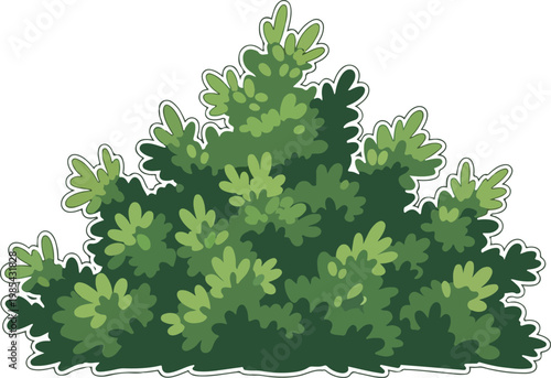 A vibrant green bushy plant with layered foliage, ideal for nature and garden illustrations