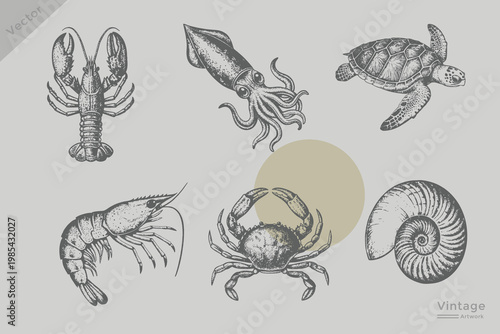 Hand drawn seafood illustration set. Summer coastal mood with different seafood item. Minimal grunge sticker art vintage doodle style lobster, shrimp, squid, turtle, Shell, crab
