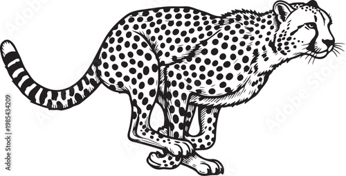 A sleek cheetah captured in a dynamic running pose with distinct spotted fur pattern. vector illustration