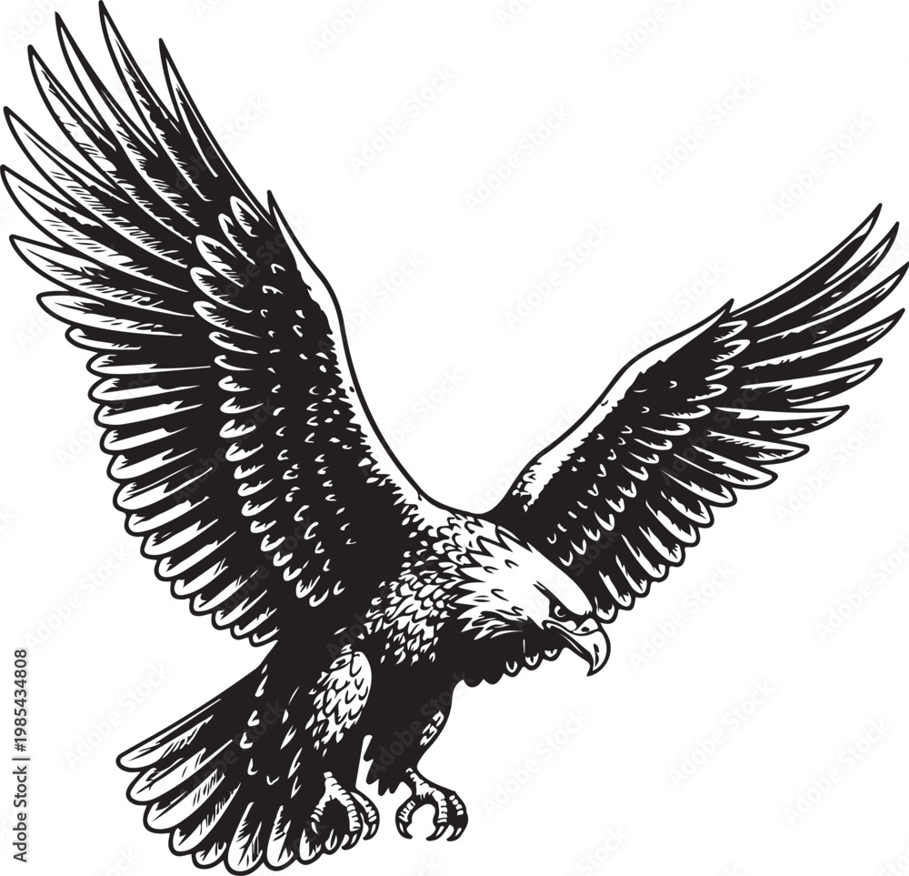 Fototapeta premium Majestic eagle soaring through the sky with outstretched wings in detailed line art vector illustration
