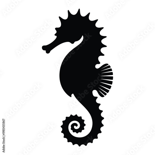 Seahorse upright with curled tail Vector, Silhouette, Illustration
