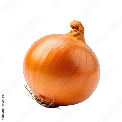 A single vibrant orange onion with visible root ends floats isolated on transparent background