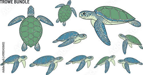 Adobe Illustrator Artwork