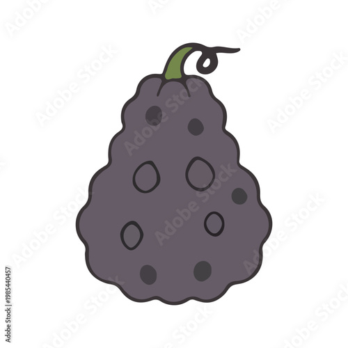 Hand Drawn Purple Gourd Illustration