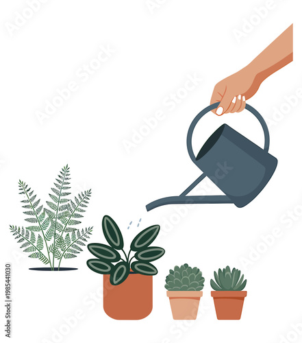 Woman hand holding blue watering can to hydrate various green house plants and succulents in ceramic pots on transparent surface.