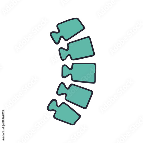 Human Spine Vertebrae Icon Illustration