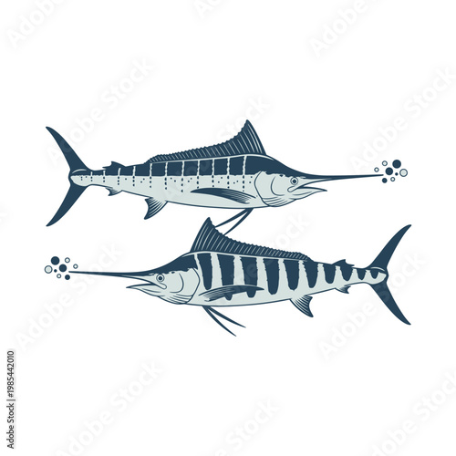 Two blue marlins swimming with bubbles in minimalist