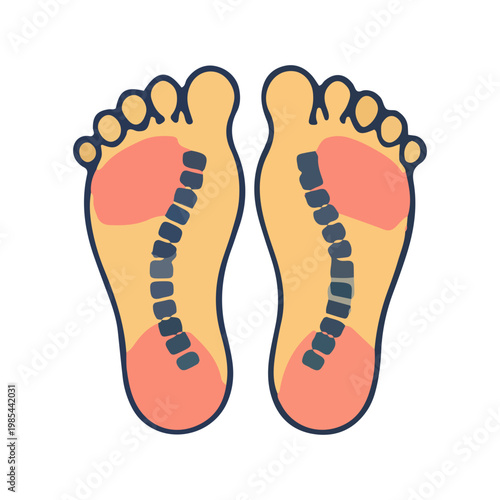 Reflexology Foot Chart Spine Map