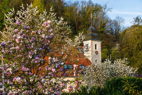 Church of St. Michael in spring bloom, Samobor, Croatia