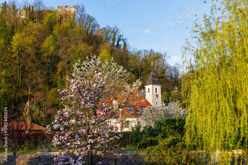 Church of St. Michael in spring bloom, Samobor, Croatia