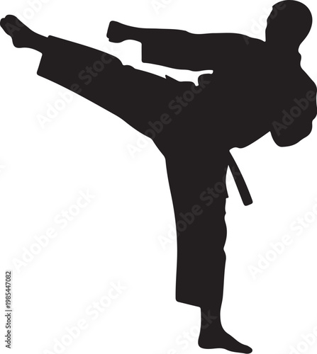 Martial arts silhouette, karate kick, black uniform, kickboxing illustration, vector graphics