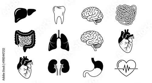 Human internal organs icon collection for medical research and healthcare awareness in black and white vector style