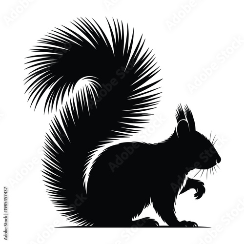 Squirrel Tail Close-Up with Detailed Fur Texture Vector, Silhouette, Illustration