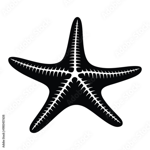 Starfish Resting on Sandy Beach Vector, Silhouette, Illustration
