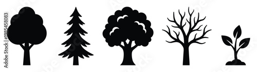 Set of various tree silhouettes including deciduous, coniferous, bare, and young plant ideal for educational materials, nature themed projects, and environmental studies graphics