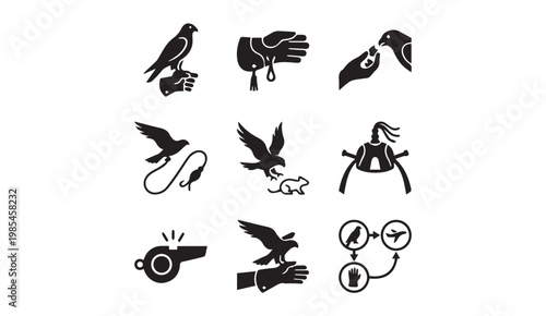 Falconry icons showing birds of prey equipment training actions with falconry