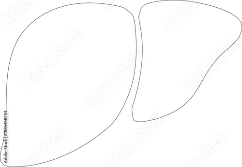 Simple outline drawing of the human liver organ in black and white