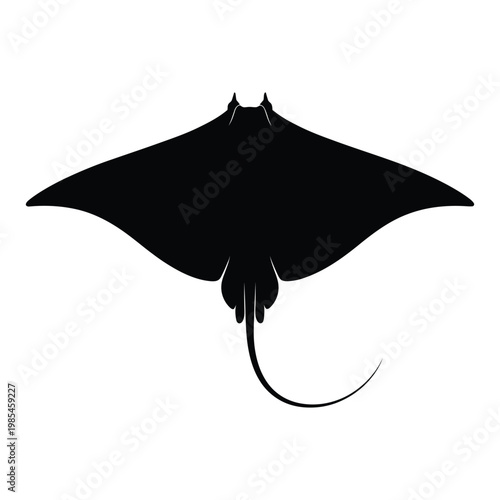 Stingray Top View with Wings Spread in Ocean Vector, Silhouette, Illustration