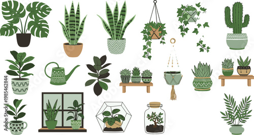 Indoor Plants and Home Gardening Vector Set Featuring Potted Plants Hanging Vines Cactus Succulents and Decor