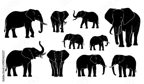 Minimal Elephant Silhouette Collection – Different Poses of African and Asian Elephants