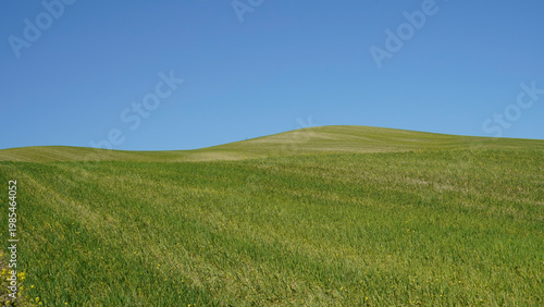 Cuadro en lienzo I dintorni di Pienza, caratteristico borgo rinascimentale, offrono panorami mozzafiato sulle colline della Val D'Orcia, patrimonio dell'umanità Unesco