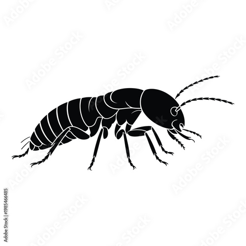 Termite Crawling in Side View Close-Up Vector, Silhouette, Illustration
