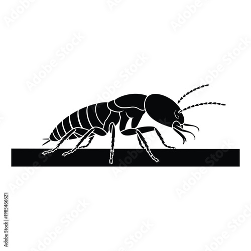 Termite Crawling on Wooden Surface Close-Up Vector, Silhouette, Illustration