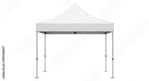 Portable canopy tent for outdoor events and parties, white fabric