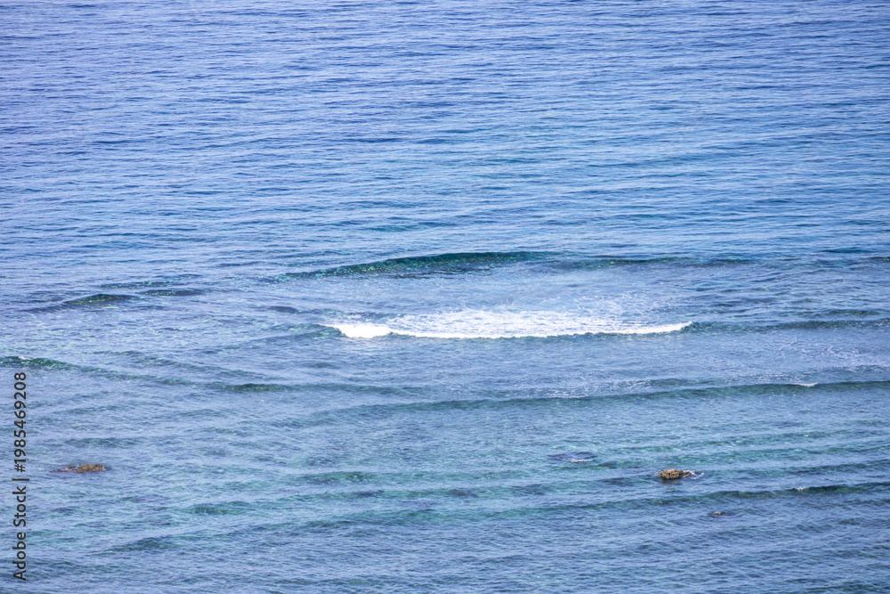 Fototapeta premium humpback whale tail