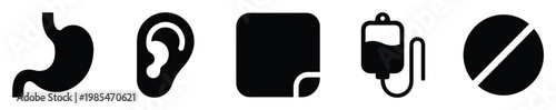 Essential health and medical related icons featuring stomach, ear, document, intravenous drip, and pill for healthcare information, educational content, or clinical applications.