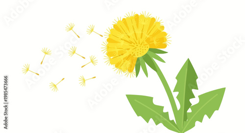 Dandelion Flower Plant Weed Yellow.