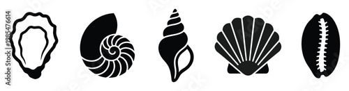 Diverse collection of oceanic seashells featuring oyster nautilus conch scallop and cowrie perfect for marinethemed iconography decoration and graphic resource use