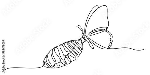 Continuous line drawing depicting a butterfly emerging from its chrysalis, symbolizing transformation, growth, and new beginnings, perfect for inspiring presentations, educational