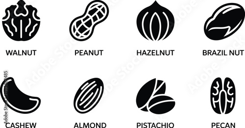 Variety of nuts illustration walnut peanut hazelnut brazil nut cashew almond pistachio pecan