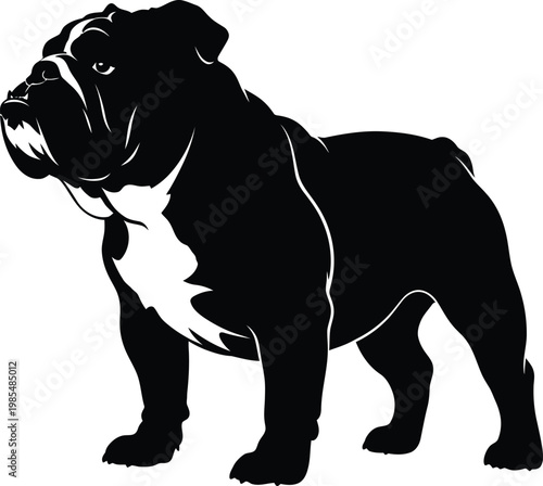English Bulldog Standing Silhouette Vector Illustration