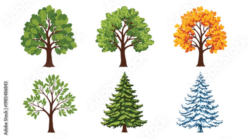 Collection of six different trees representing different seasons including summer greenery, autumn colors, and winter snow.