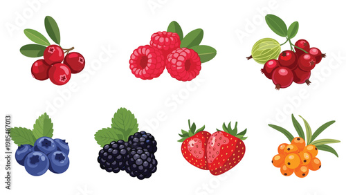 Selection of fresh healthy berries including strawberries, blueberries, raspberries, and blackberries with leaves.