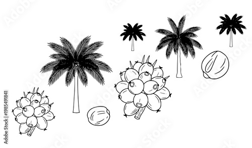 Outline palm oil silhouettes diagonal vector set with minimal plantation line icons