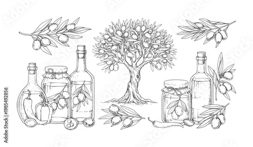 Black and white of olive tree jars and bottles with olives and peppers branches leaves