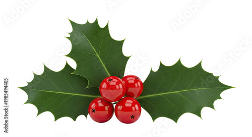 Holly sprig with red berries