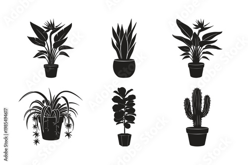 Indoor plants silhouette set bundle: potted houseplants, foliage, cactus design.