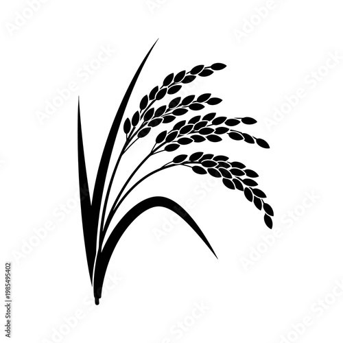A simple black and white illustration of a plant with grains and leaves on a white background