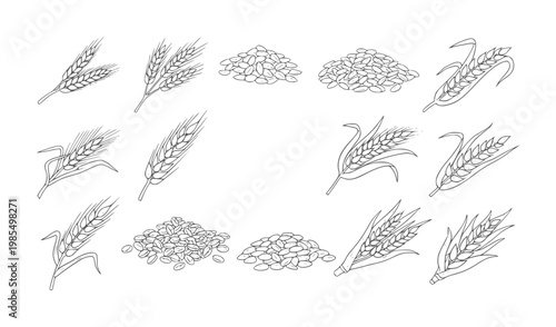 Collection of hand drawn wheat stalks and grain piles in black and white seed