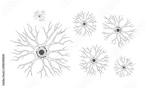 Multiple black and white neuron cell white biology science medical