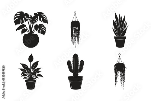 House plants and botanical garden with silhouette set bundle vectors.