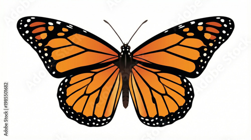 Monarch Butterfly A Detailed Illustration of an Iconic Orange and Black Winged Insect