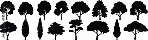 Black tree silhouettes vector set featuring various forest trees isolated with detailed shapes in natural botanical style flat design
