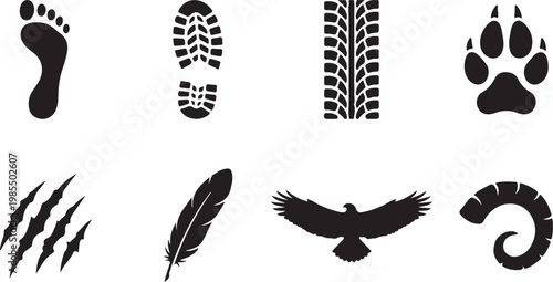 Wildlife Footprints, Animal Tracks, Silhouette Icons, Nature Symbols
